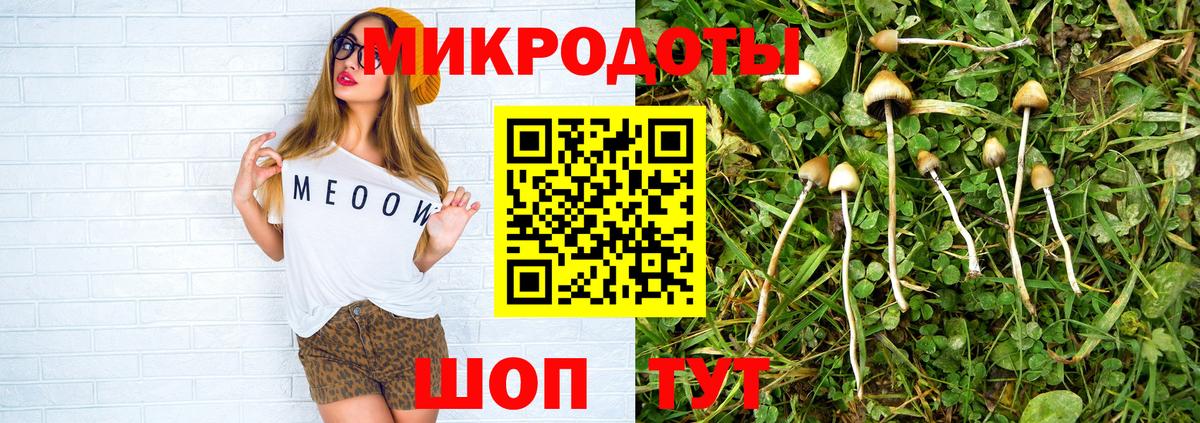 Галлюциногенные грибы мухоморы Лесозаводск