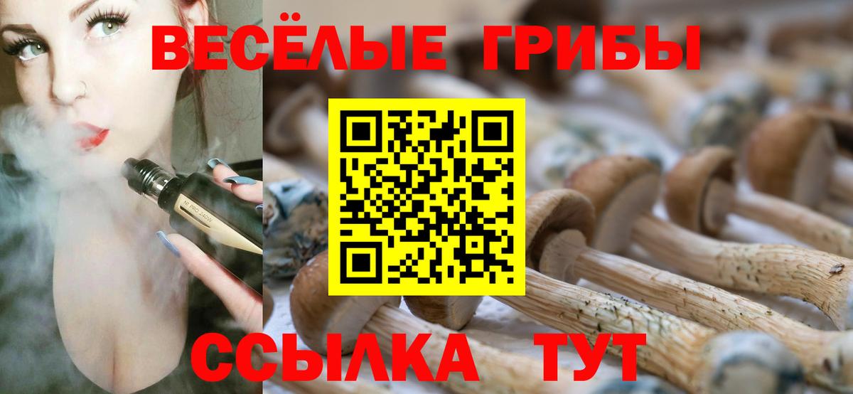 Лесозаводск  Галлюциногенные грибы мицелий  Вход с VPN 